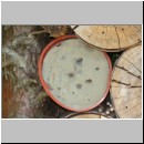 Colletes daviesanus - Seidenbiene w001i 9mm Nester - OS-Insektenhotel det.jpg